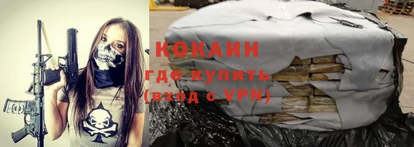спиды Инта