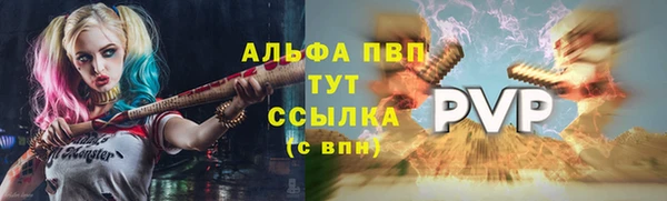 спиды Инта