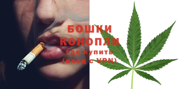 спиды Инта
