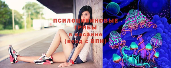 спиды Инта